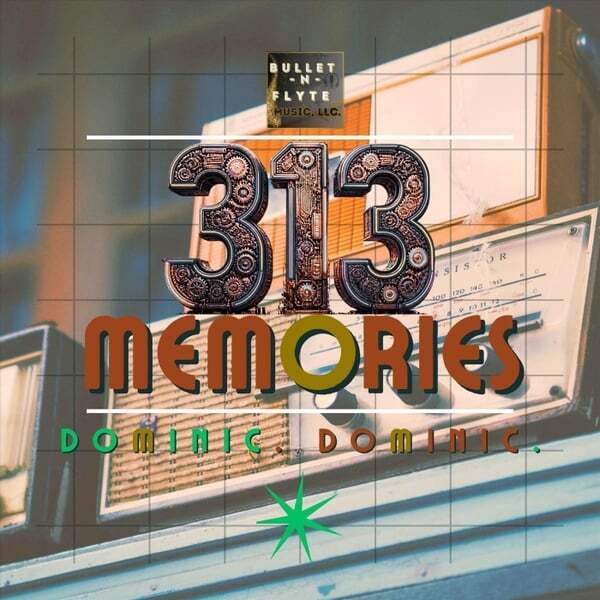 Cover art for 313 Memories
